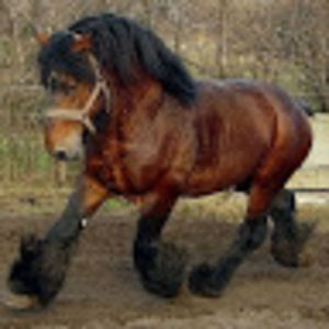 Meet your Posher, Kierstyn